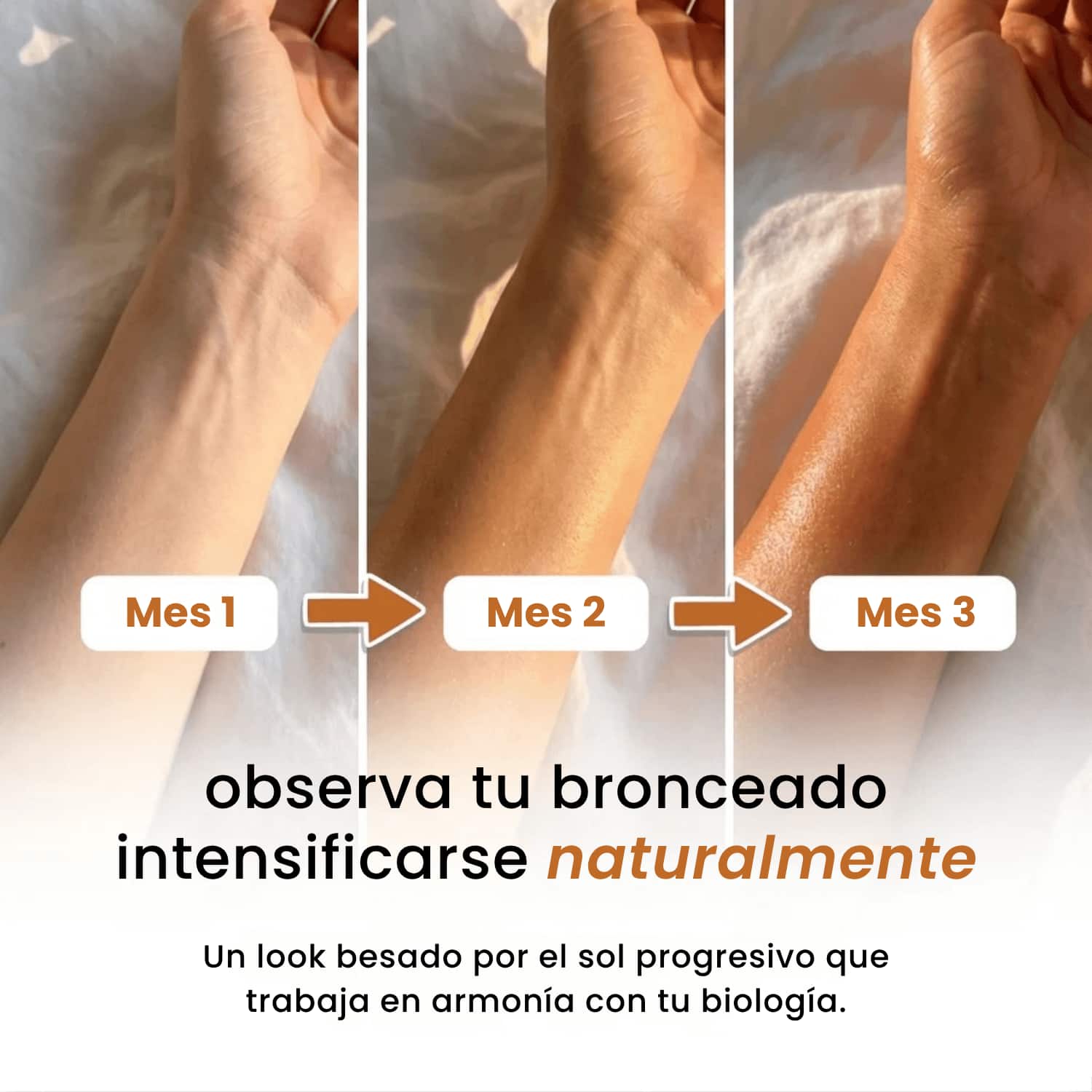 Gominolas Solares